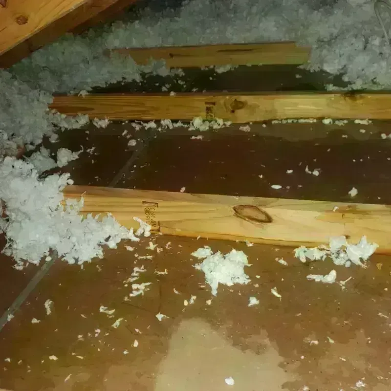 Attic Water Damage in Williams, AZ