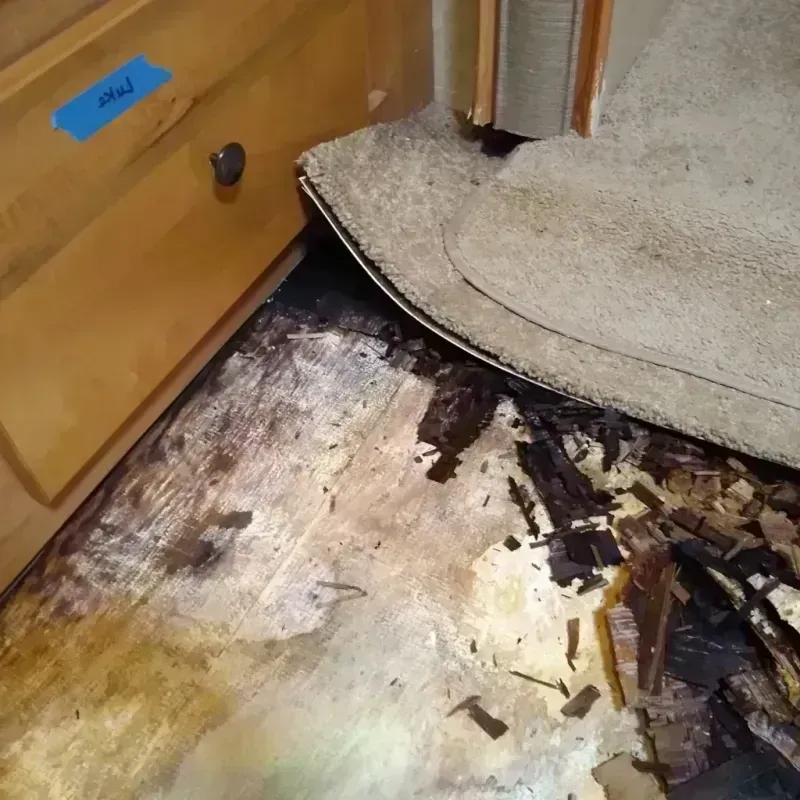 Wood Floor Water Damage in Williams, AZ